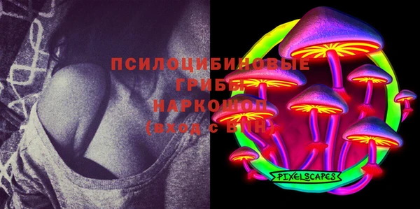 спиды Аркадак