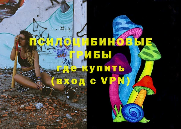 прущие крисы Арсеньев