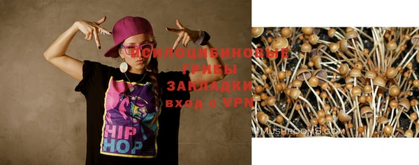 индика Алексеевка